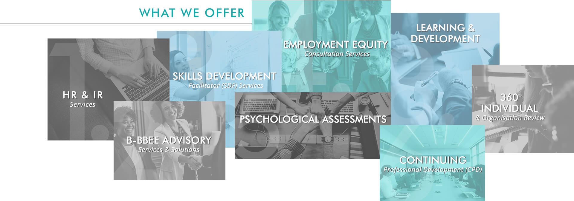 maven consulting services